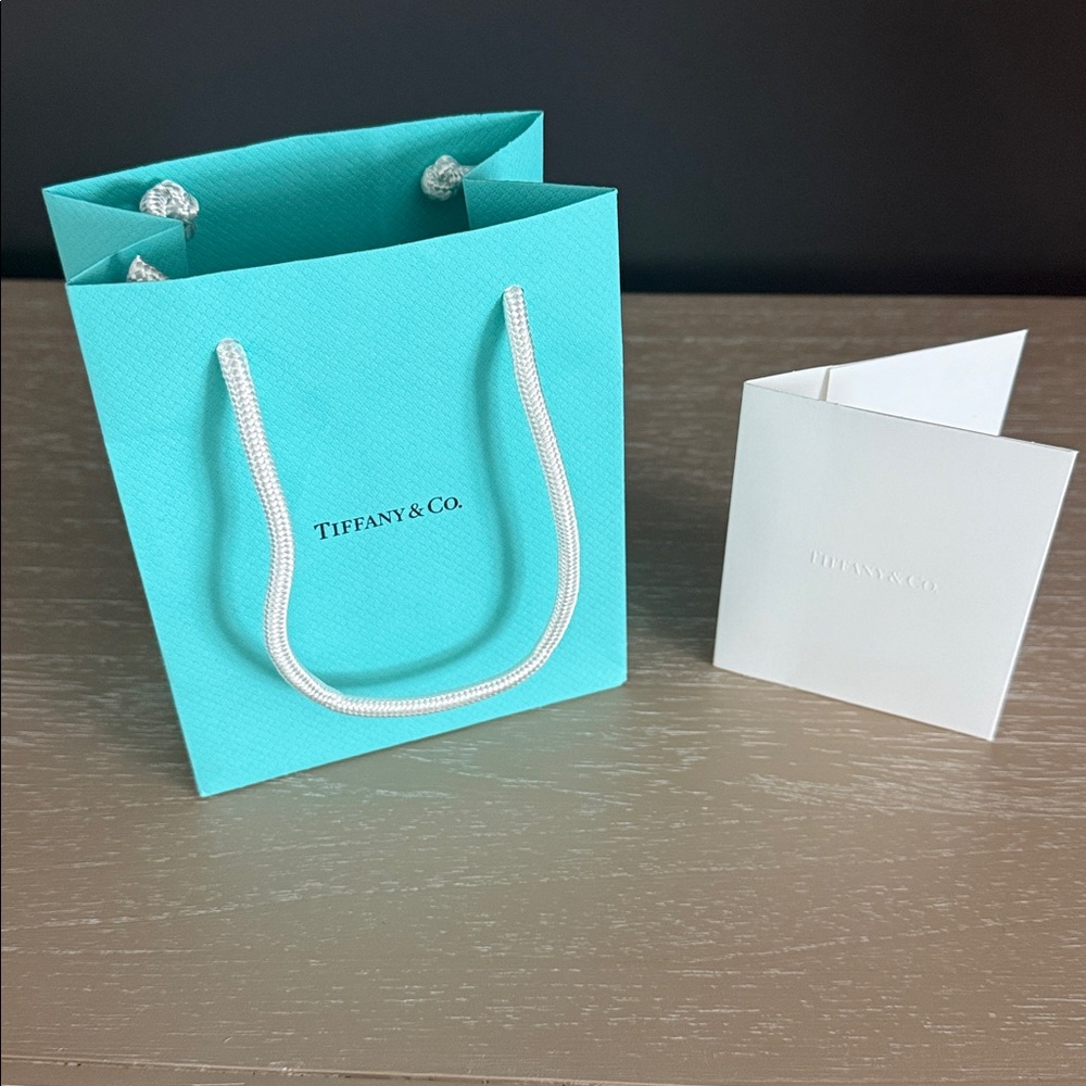 Tiffany & Co. Gift Bag with White Card